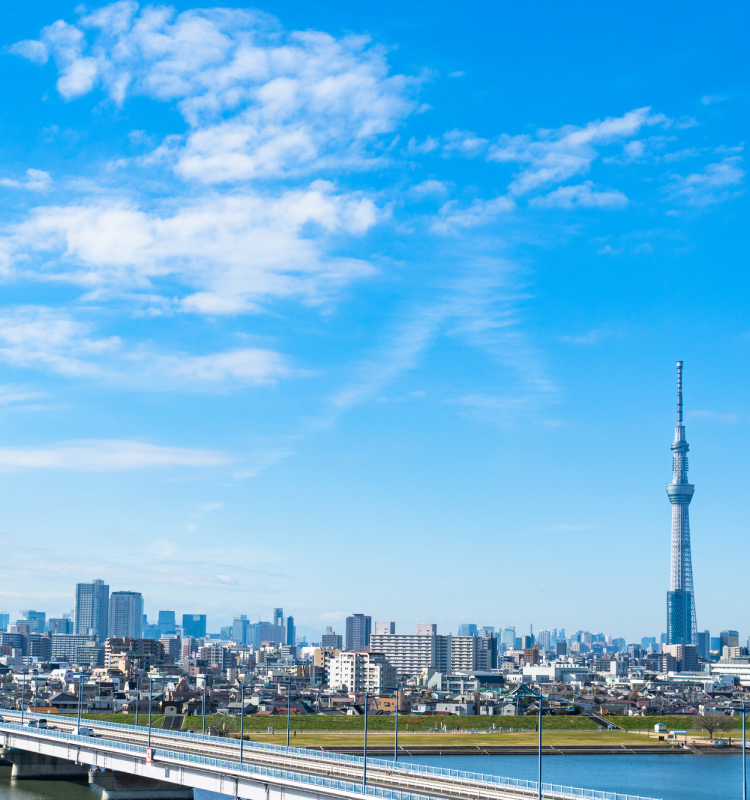 日比谷情報システムの歴史